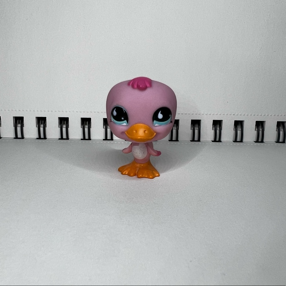 Lps duck - Picture 5 of 6